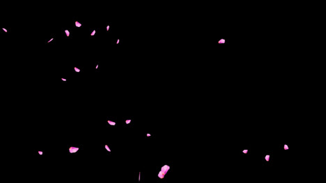 Rose-Petals-floating-and-Falling-animation-with-alpha-channel