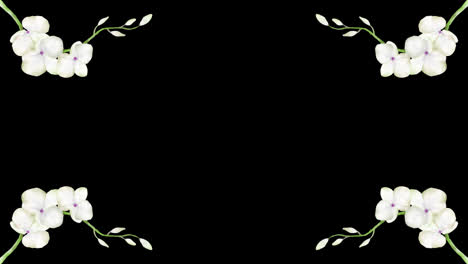 Wedding-decoration-flower-titles-copy-space-for-text-leaf-wreath-floral-Frame-animation-With-alpha-channel.