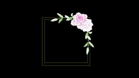 Wedding-decoration-flower-titles-copy-space-for-text-leaf-wreath-floral-Frame-animation-With-alpha-channel.