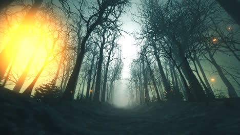 Seamless-looping-animation-of-glowing-fireflies-in-the-forest-alley-during-a-winter.-Cold-scenery-of-rural-lane-or-trail-between-bare-trees-in-the-dense-fog.-Mysterious,-dark-mood.-fairytale-landscape