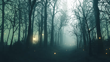 Seamless-looping-animation-of-glowing-fireflies-in-the-forest-alley-during-a-winter.-Cold-scenery-of-rural-lane-or-trail-between-bare-trees-in-the-dense-fog.-Mysterious,-dark-mood.-fairytale-landscape