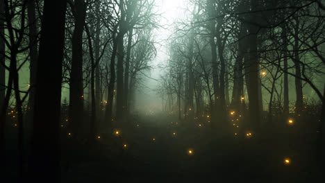 Seamless-looping-animation-of-glowing-fireflies-in-the-forest-alley-during-a-winter.-Cold-scenery-of-rural-lane-or-trail-between-bare-trees-in-the-dense-fog.-Mysterious,-dark-mood.-fairytale-landscape