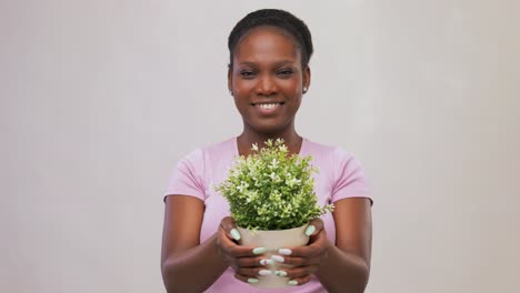 Happy-Smiling-African-Woman-Holding-Flower-in-Pot.environment,-nature-and-people-concept-happy-smiling-african-american-woman-holding-flower-in-pot-over-grey-background