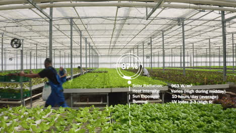 VFX-added-effects-over-busy-farmers-working-in-bio-agricultural-greenhouse