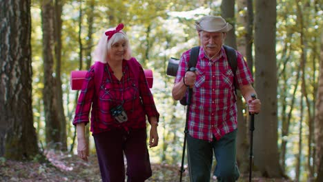 Senior-old-elderly-grandmother-grandfather-training-Nordic-walking-with-ski-trekking-poles-in-wood