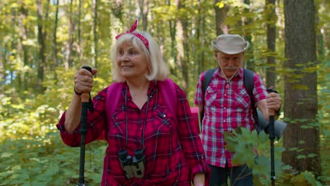 Senior-old-elderly-grandmother-grandfather-training-Nordic-walking-with-ski-trekking-poles-in-wood