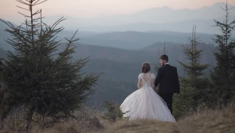 Newlyweds.-Groom-with-bride-walking-away-on-mountain-slope.-Wedding-couple