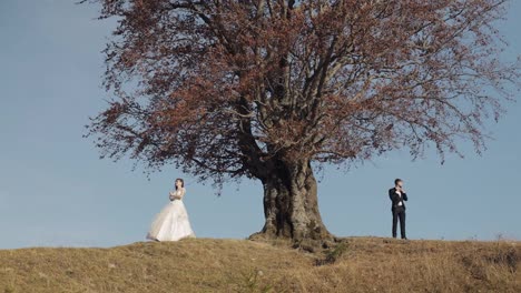 Newlyweds.-Caucasian-groom-with-bride-near-beautiful-autumn-tree.-Wedding-couple