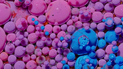 Macro-structure-of-multicolored-water-paint-oil-bubbles-movement,-bright-colorful-acrylic-painting