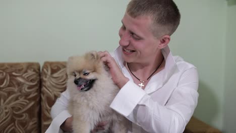 Dog-breed-of-spitz-in-the-arms-of-a-man-looks-at-the-camera-and-show-his-tongue