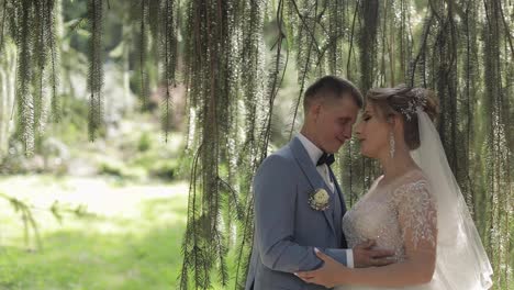 Newlyweds.-Caucasian-groom-with-bride-in-the-park.-Wedding-couple.-Happy-family