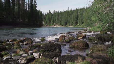 Una-Toma-Estable-De-Un-Río-Que-Pasa-Con-Rocas-En-Primer-Plano-Y-árboles-Altos-En-El-Fondo.