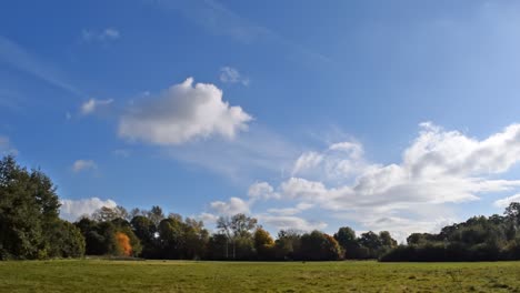 Parque-Soleado-Con-Hermoso-Cielo-Azul