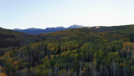 Stunning-bright-bluebird-sun-flare-morning-autumn-Aspen-tree-forest-fall-golden-yellow-colors-Kebler-Pass-aerial-cinematic-drone-Crested-Butte-Gunnison-Colorado-Rocky-Mountains-upward-reveal