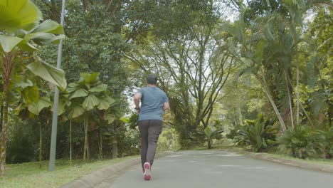 A-fat-Asian-Malay-man-jogging-for-his-health-at-the-lake-garden,-low-angle