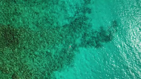 Toma-De-Seguimiento-De-Un-Hombre-Haciendo-Snorkel-Desde-Arriba-Con-Un-Dron-En-Hawái