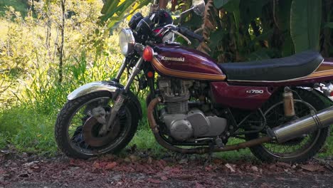 1976-Kawasaki-KZ-750-motorcycle-parked-in-the-shade-of-a-big-palm-tree-in-central-America