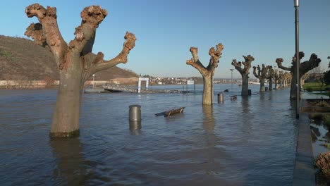 Bänke,-Mülleimer,-Straßenlaternen-Und-Bäume-Stehen-Im-Hochwasser-Mit-Fluss-Und-Stadt-Im-Hintergrund