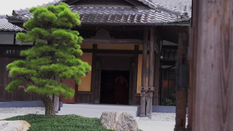 Árbol-Bonsái-Frente-A-La-Entrada-Del-Templo-Tōdai-ji,-Nara,-Japón,-Entorno-Tranquilo