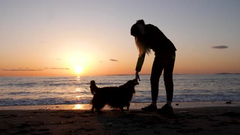 Frau-Spielt-Mit-Ihrem-Hund-Am-Strand-Bei-Sonnenuntergang