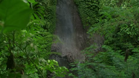 Peaceful-Waterfalls-of-North-Bali:-Nature's-Tranquil-Retreat