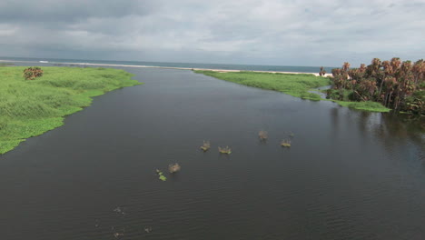 Luftaufnahme-Des-Wunderschönen-Estero-De-San-Jose-Del-Cabo,-Oase-In-Der-Wüste-Von-Baja-California-Sur,-Mexiko