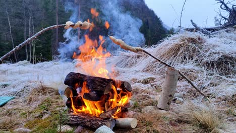 Grillen-Von-Brot-Am-Stiel-über-Dem-Lagerfeuer-Im-Freien-In-Einer-Gefrorenen-Landschaft