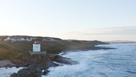 Birds-flying-along-a-winter-coastline-at-sunset