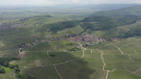 Aerial-shoot-circulating-over-vineyards-and-wine-villages-in-the-background-in-the-Alsace-region-of-France