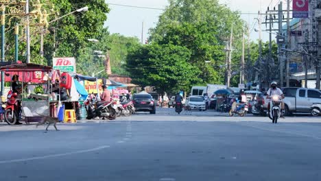 4K-Two-reckless-Long-Tailed-Macaque-monkeys-crossing-the-street-in-urban-environment-with-motorcycles-commuting-on-the-road-with-roadside-hawker-stalls-at-a-popular-tourist-spot-in-Lop-Buri-Thailand