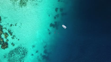 Vista-Aérea-De-Arriba-Hacia-Abajo-De-Buceadores-Flotando-En-El-Mar,-Islas-Salomón