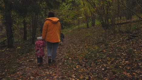 Walk-through-the-woods-with-a-dog