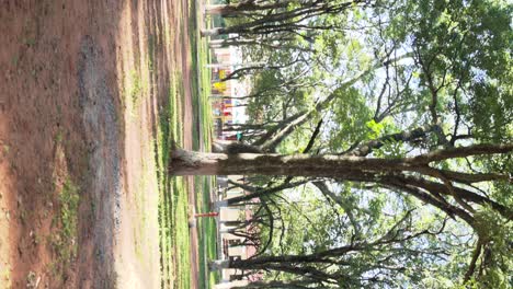 Panorámica-Lateral-En-El-Parque-Con-árboles.