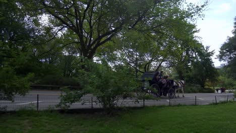 Motion-shot-Horse-and-Carriage-Ride-in-Central-Park,-guided-tour-through-nature-Landscape