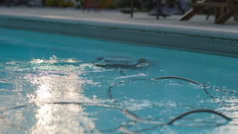 Electric-Pool-Cleaning-Robot-Cleans-Swimming-Pool-with-Power-Cables-Floating-in-Clear-Reflective-Water