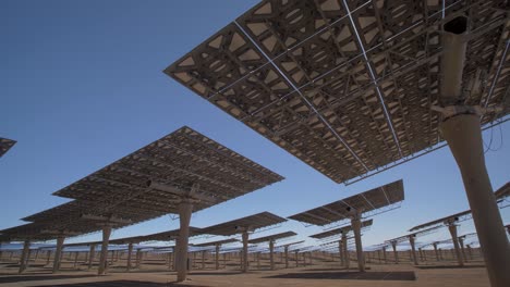 Enormes-árboles-Solares-En-La-Estación-Noor-De-Ouarzazate,-Marruecos