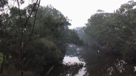 Nebligen-Morgen-Blick-über-Swan-River-Perth-Von-Maali-Fußgängerbrücke