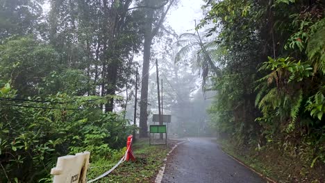 POV-Bewegung-Auf-Einer-Betonstraße-Im-Nebligen-Regenwald-Am-Morgen