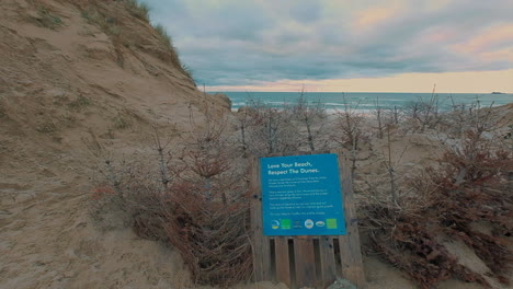 Árboles-De-Navidad-Reciclados-En-Una-Playa-De-Cornualles