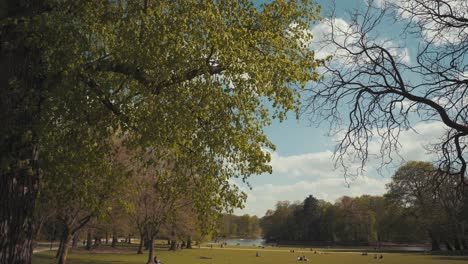 Beautiful-city-park-on-summer-day,-trees-blowing-in-breeze-at-golden-hour