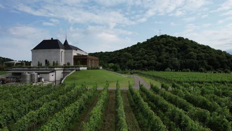 La-Bodega-Y-Los-Viñedos-De-Chateau-Buera-Están-Rodeados-De-Verdes-Montañas-Y-Cerca-Del-Lago-Lopota-En-La-Pintoresca-Región-De-Kakheti-En-Georgia.