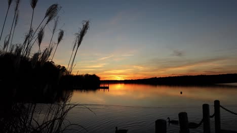 Gänse-Schwimmen-über-Die-Glatte-Oberfläche-Des-Sees,-In-Dem-Sich-Der-Farbenfrohe-Sonnenuntergangshimmel-Widerspiegelt,-Eingerahmt-Von-Ziergras-Und-Pfosten-Eines-Docks-Mit-Kettengeländer