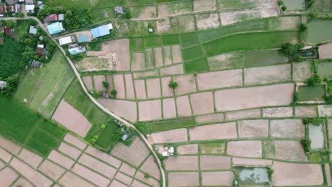 Luftaufnahme-Und-Rotation-Der-Landschaft,-Grüne-Reisfelder,-Natur-Und-Dorf