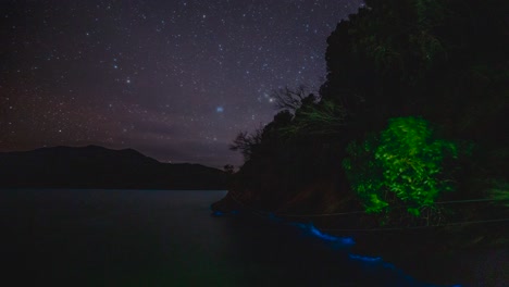 Zeitraffer-Der-Milchstraßensterne-Am-Nachthimmel-über-Den-Marlborough-Sounds,-Neuseeland