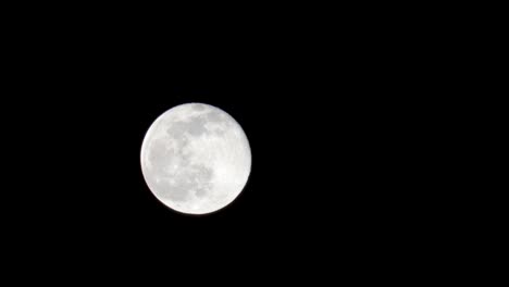 Fast-motion-close-up-view-of-Snow-Moon-filling-10%-of-the-screen-against-a-black-background