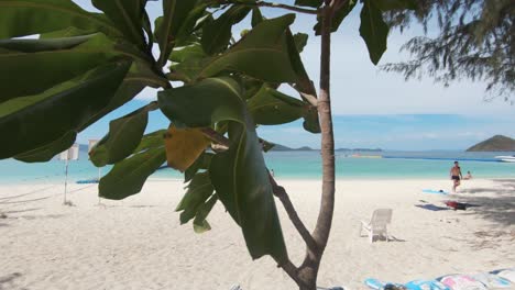 Exotic-Island-of-Koh-Hey-landscape-view-to-idyllic-shoreline-and-pier,-crowded-with-tourists---Wide-slide-gimbal-shot