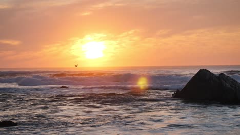 Pájaros-Volando-En-El-Océano-Con-Una-Hermosa-Puesta-De-Sol.