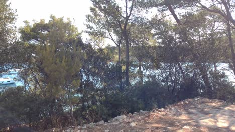 Vista-Brillante-De-Un-Mar-Con-Yates-En-Un-Puerto-En-La-Costa-Detrás-De-Un-Bosque-En-Un-Día-Soleado-De-Verano-Al-Mediodía-En-Un-País-Mediterráneo