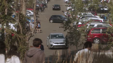 Parking-and-departing-cars-on-a-busy-parking-lot