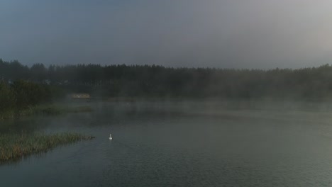 Mist-rises-from-scenic-lake-with-white-swan-calmly-swimming-away,-aerial